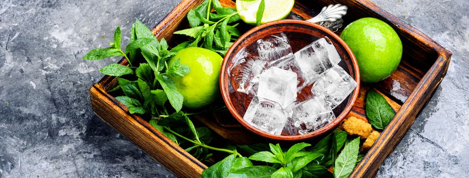 Mojito ingredients. Lime, mint and cane sugar