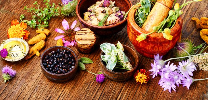 Raw medical herbs and flowers.Alternative medicine concept.Herbal medicine.Assorted natural medical herbs