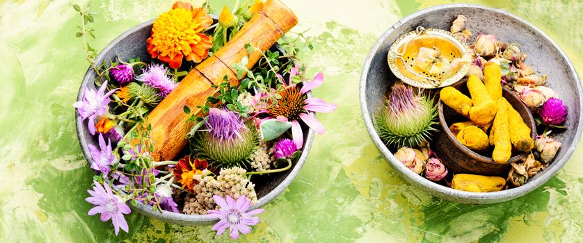 Medical herbs and flowers.Alternative medicine concept.Herbal medicine.Assorted natural medical herbs