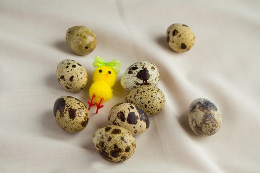 Quail eggs and a chicken toy, preparing for Easter.