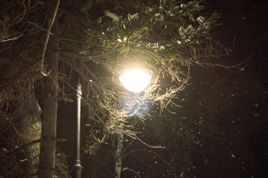 A lighted lantern at night, the snow and trees in winter Park