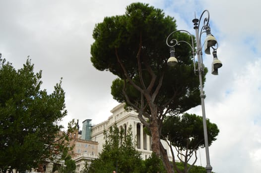 Rome, Lazio region, Italy, Detail of the national monument of Vittorio Emanuele II, named Vittoriano or Altare della Patria. View from sea pines, October 7, 2018.