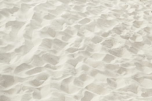 Sand beach detail dune on a beach, summer tourism