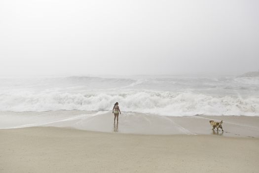 Woman and dog on the beach, detail of fun at sea, tourism