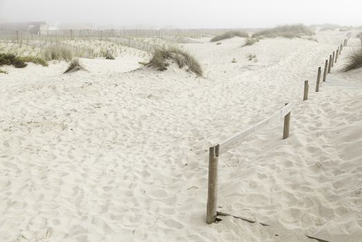 Sand beach detail dune on a beach, summer tourism