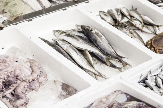 Fresh fish in a market, detail of an old market, healthy food