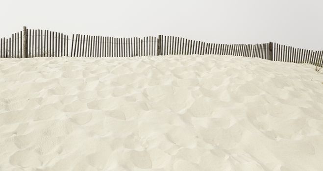 Sand beach detail dune on a beach, summer tourism