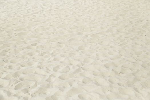 Sand beach detail dune on a beach, summer tourism