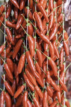 Red chillies, detail dry, food and spicy vegetables