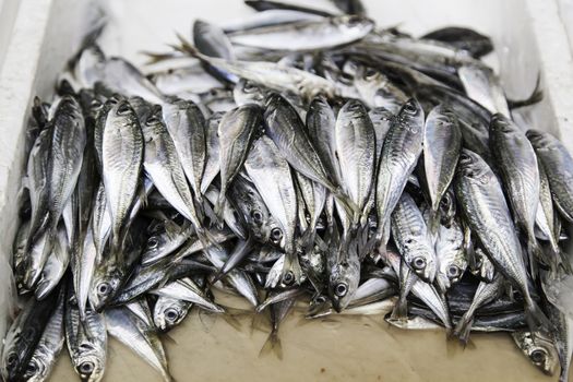 Fresh fish in a market, detail of an old market, healthy food