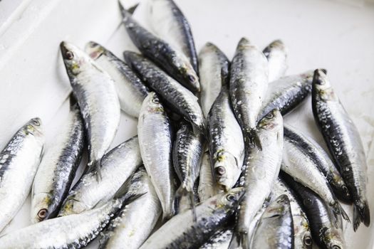 Fresh fish in a market, detail of an old market, healthy food