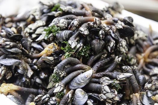fresh barnacles in a market, seafood detail, luxury food