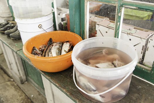 Fresh fish in a market, detail of an old market, healthy food
