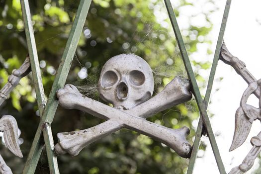 Skull in a cemetery, detail of decoration, religion