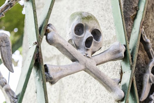 Skull in a cemetery, detail of decoration, religion