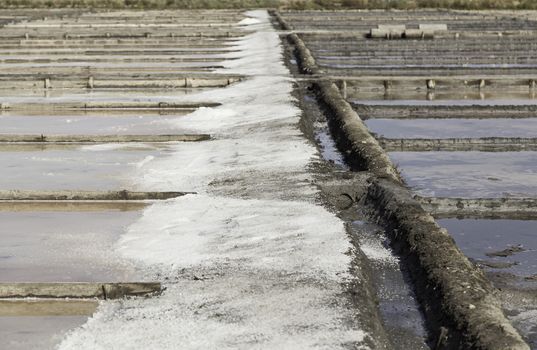 Natural salt mines, detail extraction of salt, water