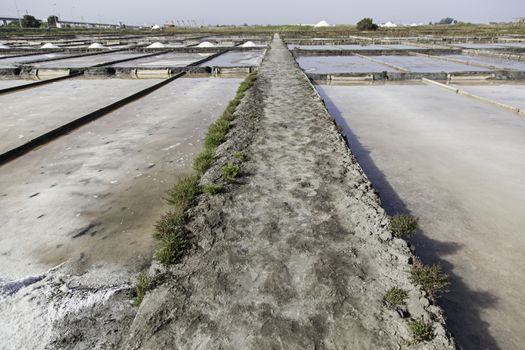 Natural salt mines, detail extraction of salt, water
