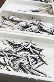 Fresh fish in a market, detail of an old market, healthy food