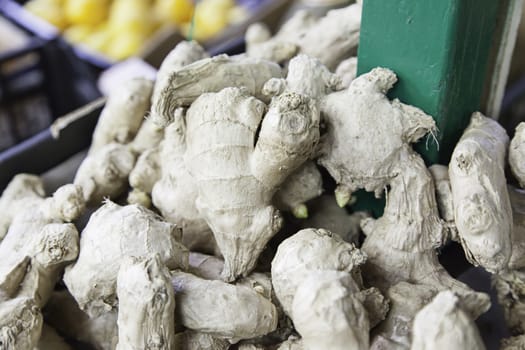 Natural ginger, detail of a root, seasoning and feeding
