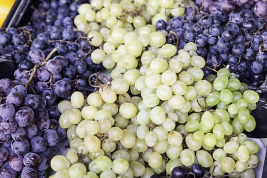 Fresh grapes in a market, detail of fresh and sweet fruit, grape harvest