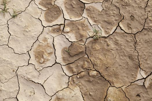 Dry land, detail of drought, climatic change