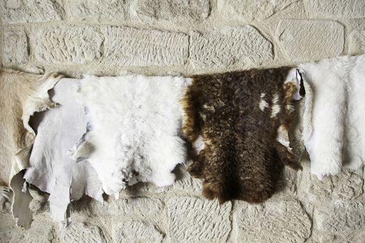 Authentic animal skins, detail from animal skins to fashion