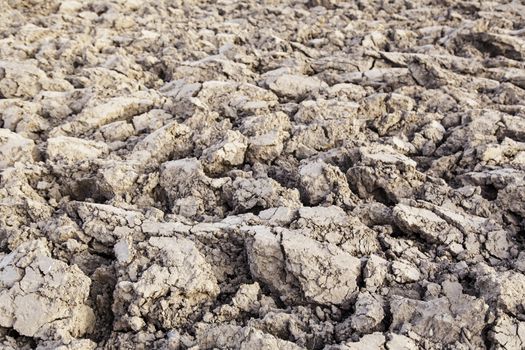 Dry land in the countryside, detail of drought and climatic change