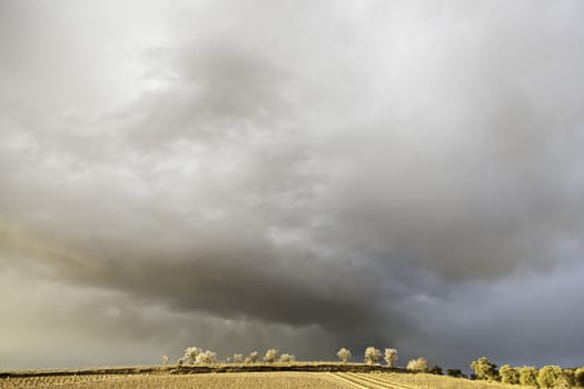 Storm in the field, detail of rain and cold