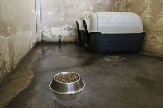 Cage of dogs in a kennel, detail of place of animal shelter wading, animal mistreatment