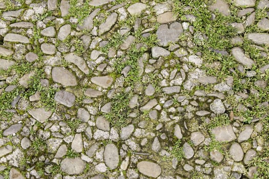 Old stones with moss, detail of an ancient, green floor