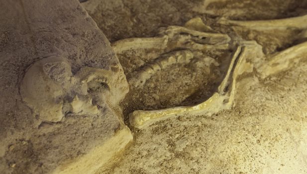 Archaeological excavation, detail of an ancient exploration, prehistory