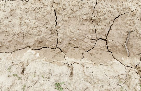 Dry soil by a drought, detail of climate change, ecological disaster