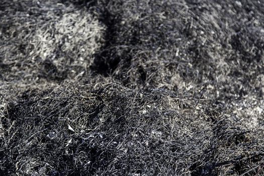 Burned grass, detail of a fire, environmental disaster