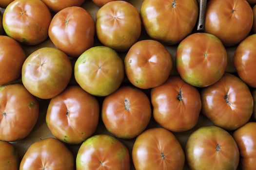 Tomatoes in a market, detail of a vegetable, ecological agriculture