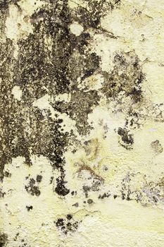Rough cement wall, detail of a textured