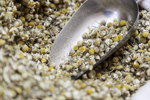 Dried chamomile, detail of an infusion, yellow flowers