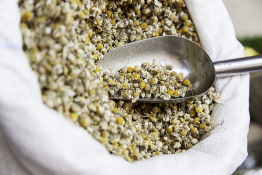 Dried chamomile, detail of an infusion, yellow flowers