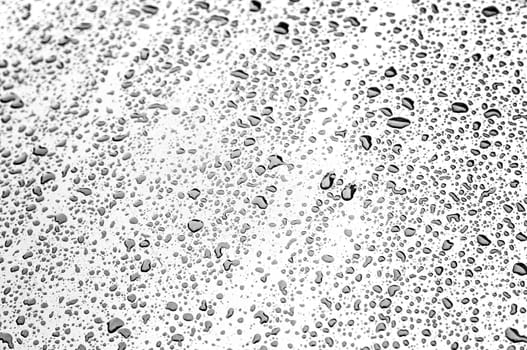 Water drops on blue background, detail of a wet textured background