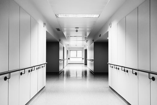 Corridor of a health hospital, detail of health and medicine, hospital complex, doctors and nurses, healing