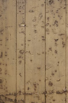Wood background texture, old spoiled wood