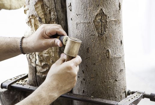 Carving wood by hand, detail of a craftsman, artisan and craftsman