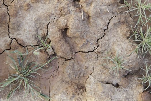 Dry land in a field, detail of a drought, climate damage, catastrophe, textured background