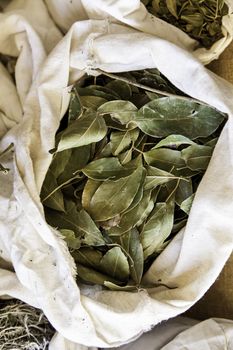 Aromatic herbs in a market, detail of herbal medicine and condiments, aroma and taste, health