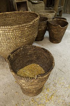 Detail of raw corn in an esparto sack, detail of dry cereal