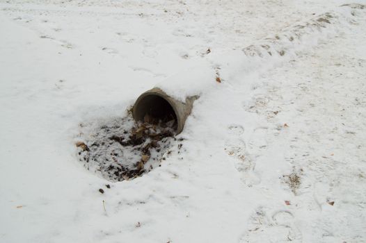 Cement sewer drain pipe, a hole with leaves and dirt, covered with the first snow.