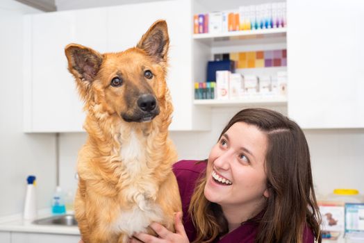 Doctor at the veterinary clinic hugging a beautiful dog
