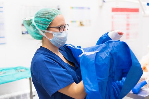 Veterinary Surgeon preparing for surgery