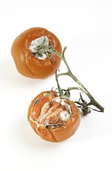 Bad tomatoes, vegetable detail spoiled by the weather, food poisoning, food background