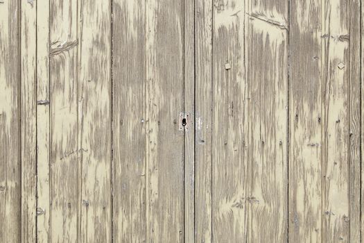 Wood background texture, old spoiled wood