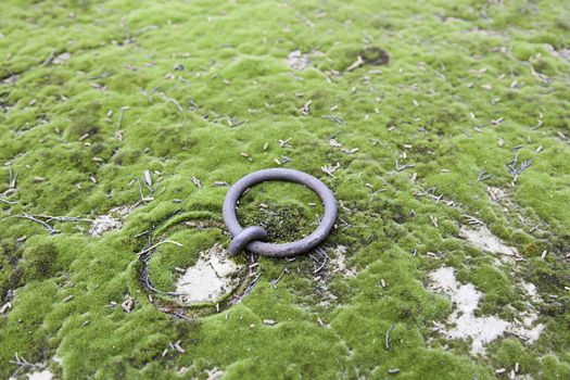 Old ring in a tomb, detail of an ancient grave in a cemetery